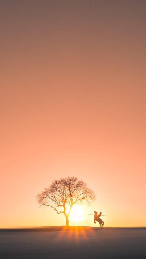 拜仁碾压乌克兰背后,真正的关键先生竟是维尼修斯?