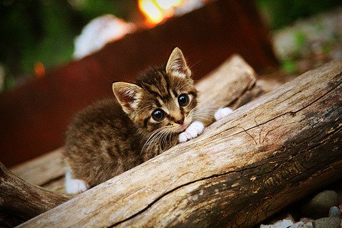 开云-巴雷拉，82分钟沉默，8分钟风暴！他用数学家的冷静撕碎阿根廷的傲慢